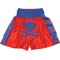 Muay Thai Shorts
