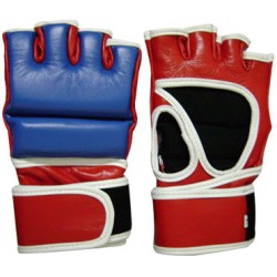 MMA Fight Gloves