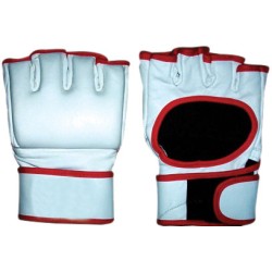 MMA Fight Gloves