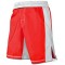 MMA Fight Shorts