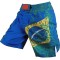MMA Fight Shorts