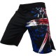 Sublimated MMA Shorts Sublimated MMA Shorts